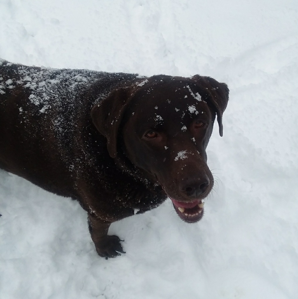 Meet your Posher, Lisa